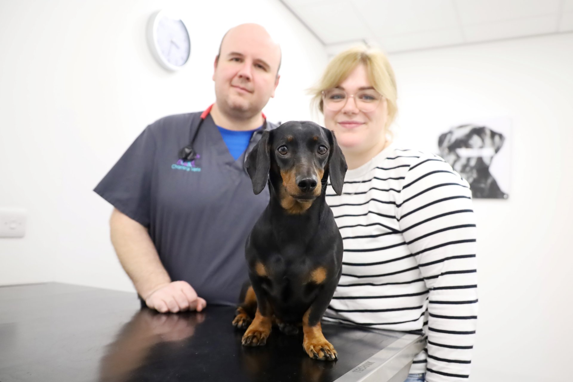 imgonline-com-ua-dexif5sjja2Ja1kfK Senior vet Fraser Reddick with Ellie Holbrook and Dachshund Nellie at Chantry Vets in Wakefield. Photo: © Chantry Vets