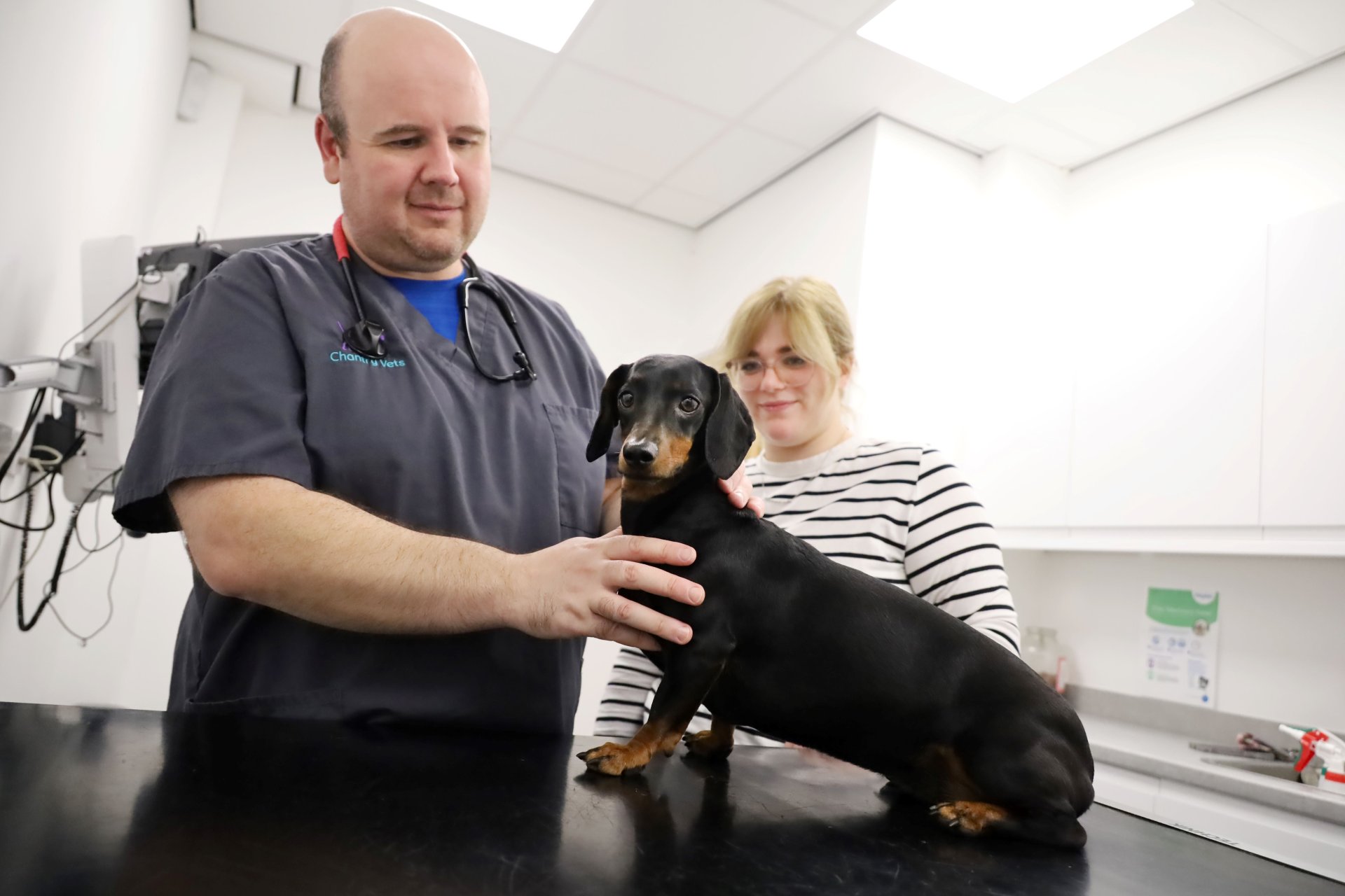imgonline-com-ua-dexifip9QFVRrmN6t Senior vet Fraser Reddick with Ellie Holbrook and Dachshund Nellie at Chantry Vets in Wakefield. Photo: © Chantry Vets