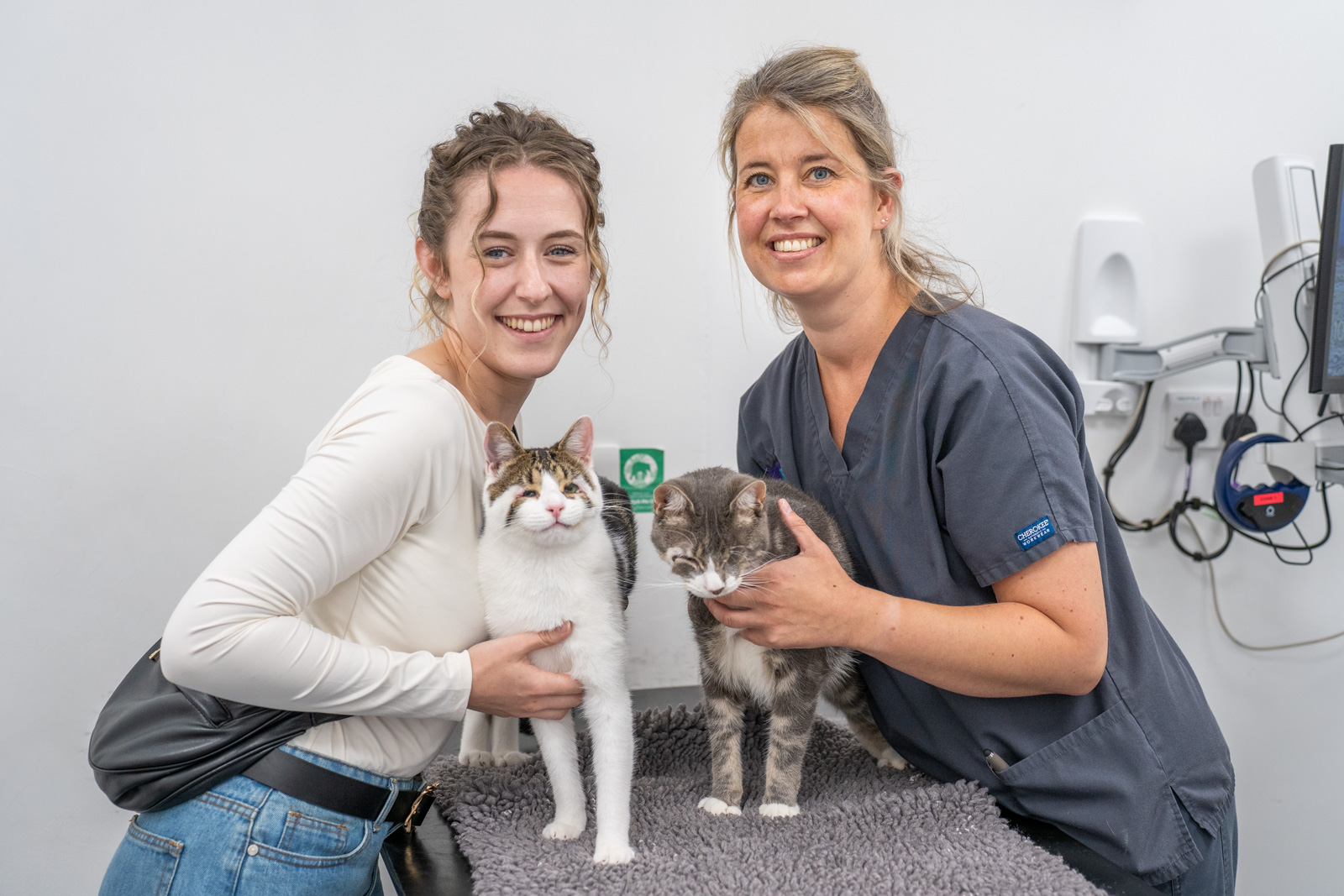 Meet Preston and Rupert rescue kittens who were found abandoned in a bin bag in a skip
